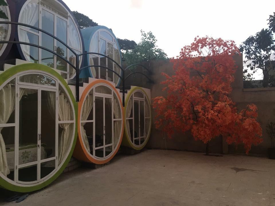 Queen Hostel Đà Lạt Extérieur photo